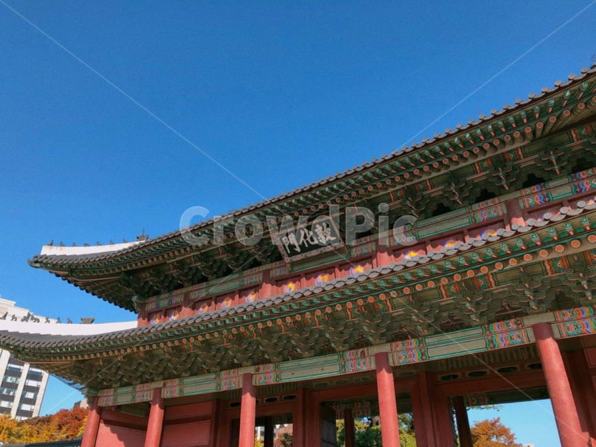 창덕궁,창덕궁후원,한국관광지,유명관광지,한국궁궐,풍경,경치,낙엽,한국전통,한국문화,korean traditional,korean culture,건축물,건물외관,exterior,building,structure,architecture,construction
