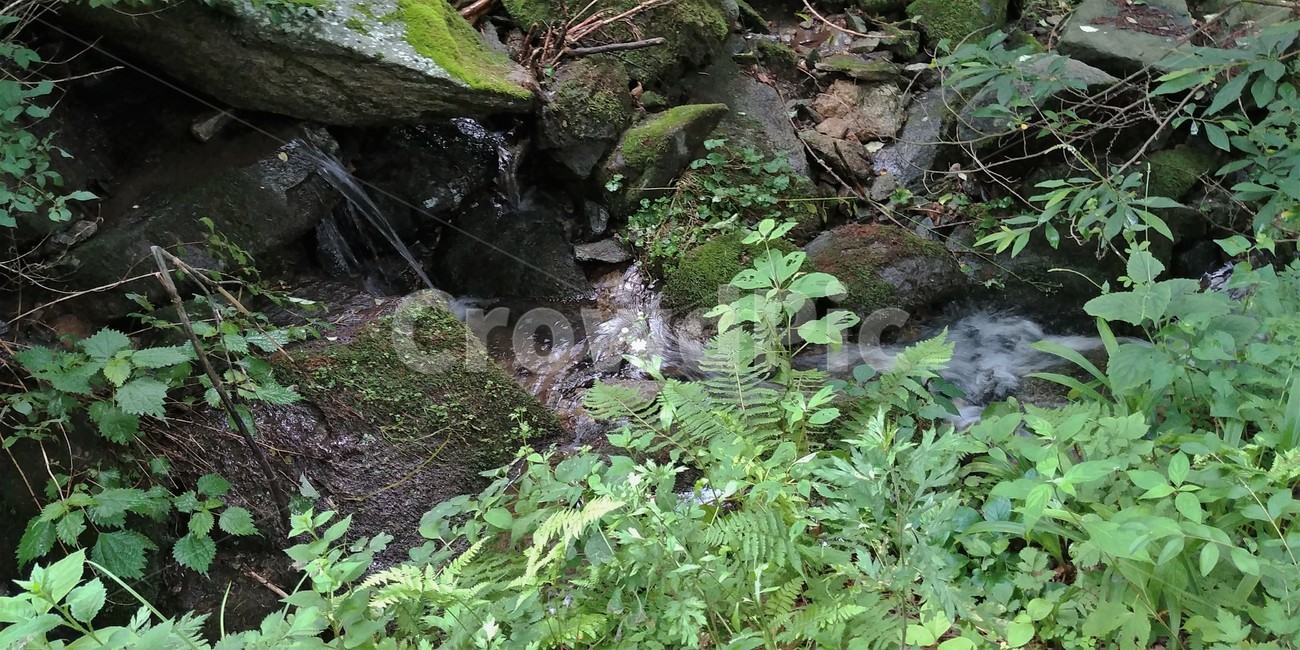 강태등골,금강발원지,실개천,신무산,뜬봉,수분리,자연,풍경,nature,landscape,water,물,outdoors,옥외,plant,식물