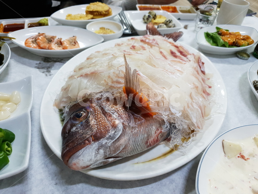 음식,안주,식재료,요리,맥주안주,소주안주,자연산,회