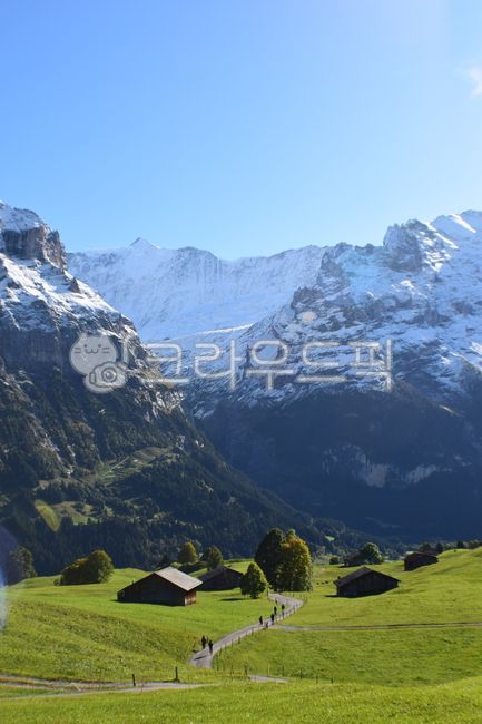 field,mountain,nature,자연,outdoors,옥외,grassland,목초지,필드,스위스,시골