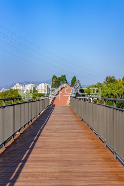 Hangang Park,Seonyudo Park,park,rest,park,walking path,walking trail,walking,forest,mountain,jogging,forest path,road,tree,forest of buildings,Seonyu Bridge