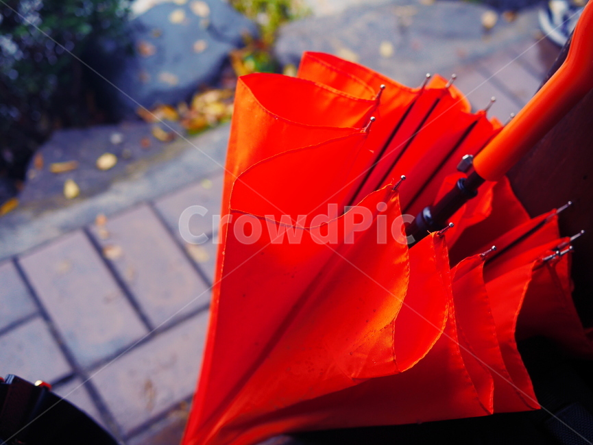 우산사진,비오는날사진,주황색우산,엄브렐라,umbrella,우산,비오는날,흐린날,비,가을,fall,rainyday,rain,autumn,color,orange,gloomy,gray,흐린날씨,비온뒤,배경,감성,낙엽,디자인,design,비오는날배경화면,weather,날씨,비,비오는날,rain,rainy,사물,물건,오브젝트,thing,object,matter