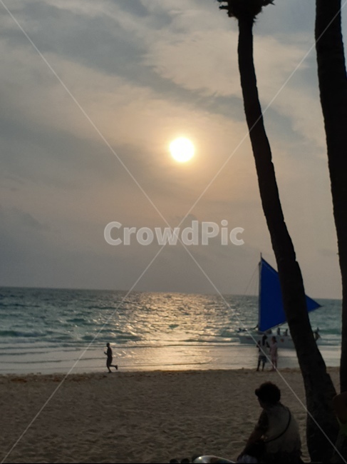 nature,light,summer,여름,tropical,열렬한,plant,식물,tree,여행,휴가,야자수,바다,모래사장