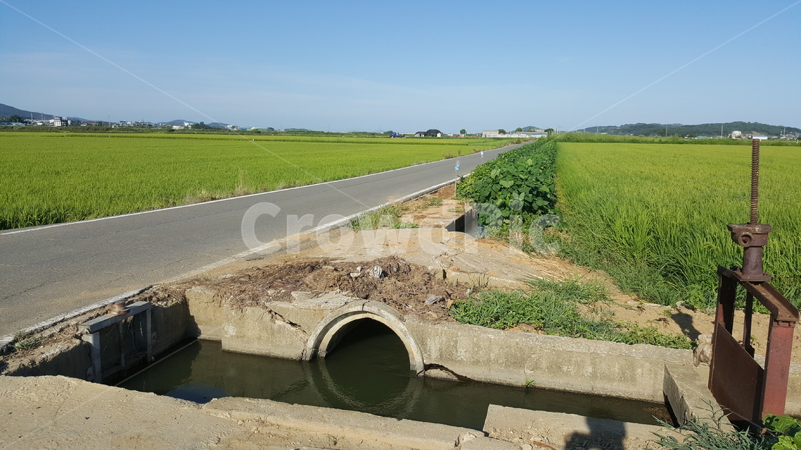 road,도로,또랑,논,하늘,자연,시골,마을,풍경,landscape,country,rural,town,농업,농사,agriculture,farming,farming industry