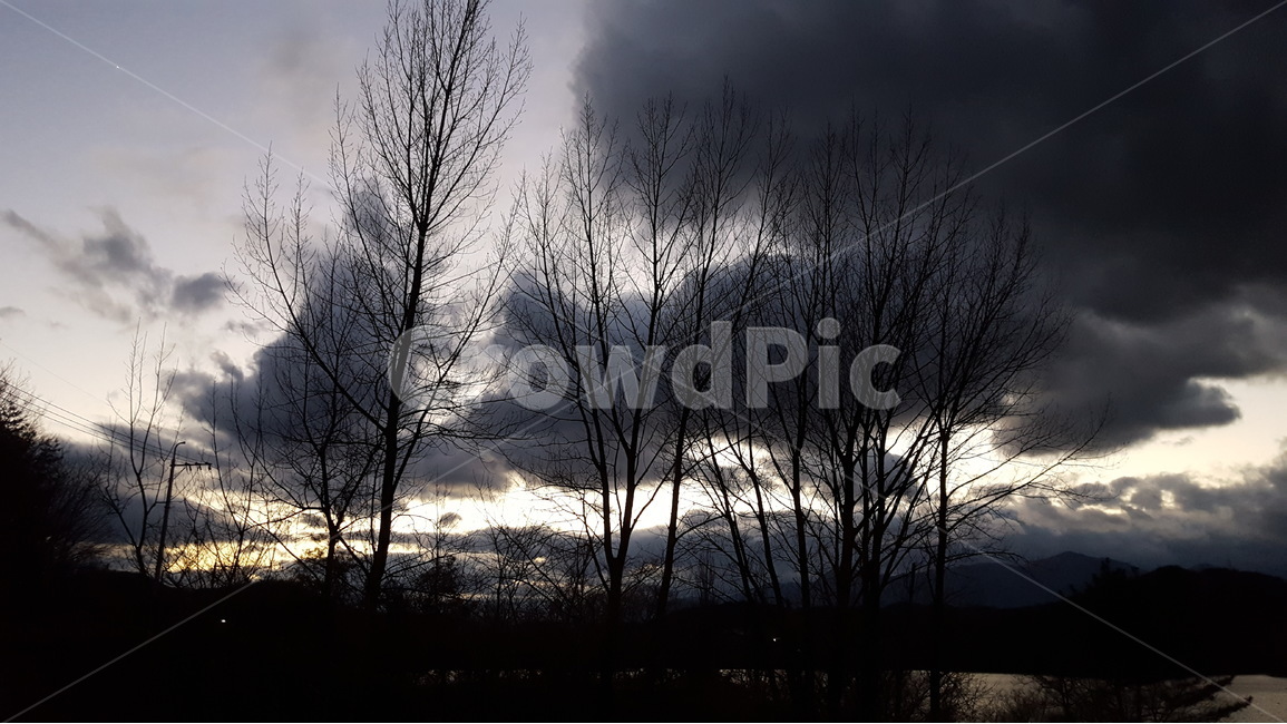 저녁,어둠,해질녁,흐린저녁,자연,자연,풍경,nature,landscape,silhouette,실루엣,outdoors,옥외