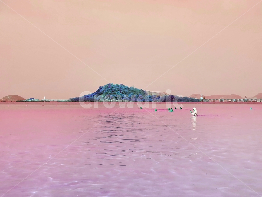 nature,자연,land,outdoors,ocean,바다,sea,물,water,옥외,대양,shoreline,해안선,coast,연안