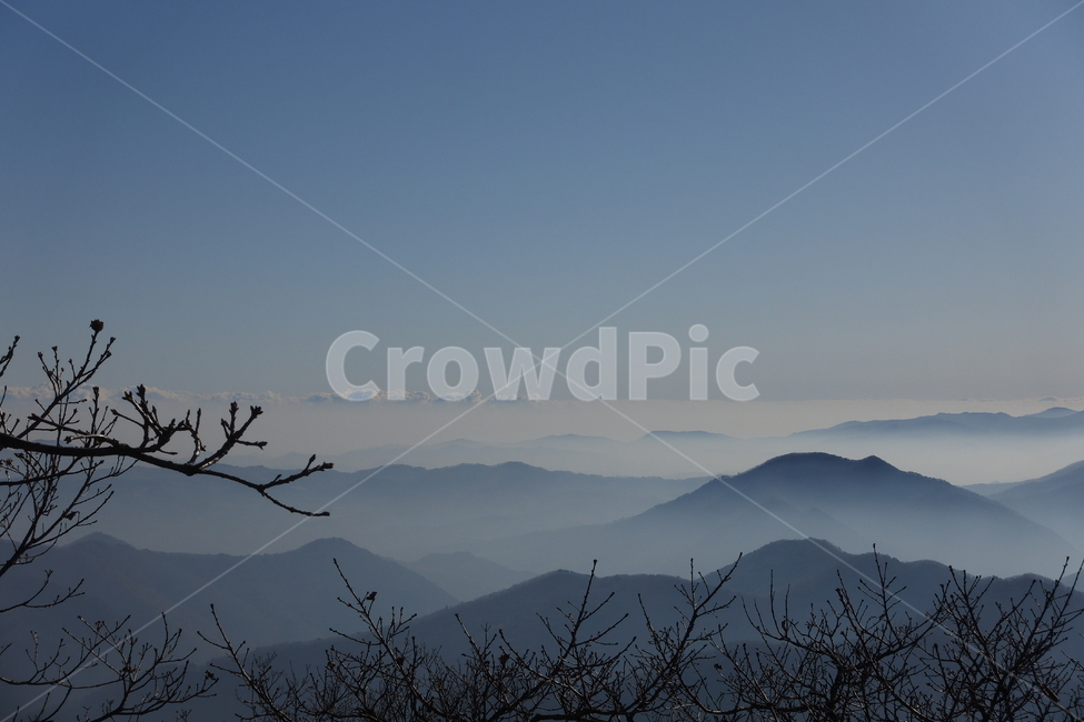 발왕산,산,정상,풍경,운무,안개,구름,몽환적인,실루엣,nature,자연,outdoors,옥외,mountainrange,산맥,mountain,자연,풍경,nature,landscape