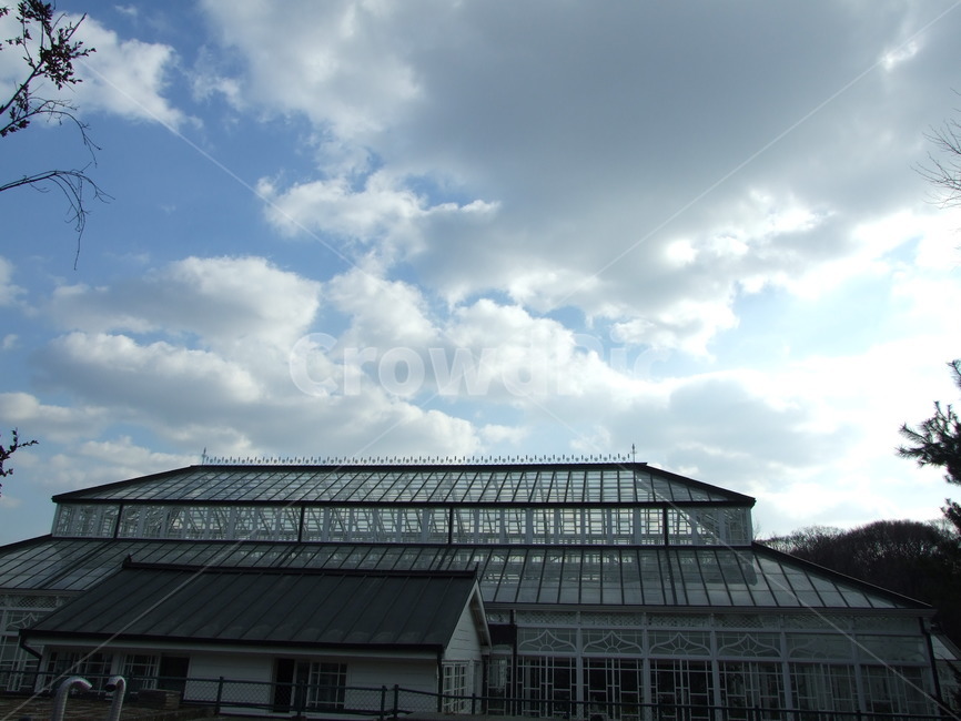 고궁,창경궁식물원유리온실,하늘,구름,sky,건축물,건물외관,exterior,building,structure,architecture,construction