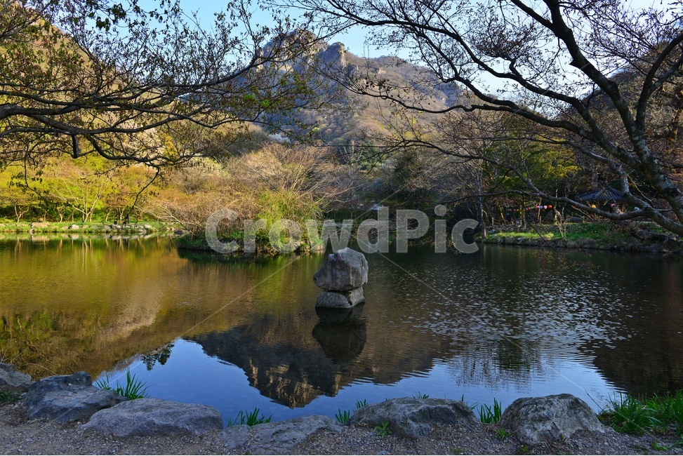 water,물,plant,식물,asphalt,nature,자연,outdoors,옥외,경치,경관,풍경,장성,백양사,백양사봄,봄,계절,연못,반영,벡학봉