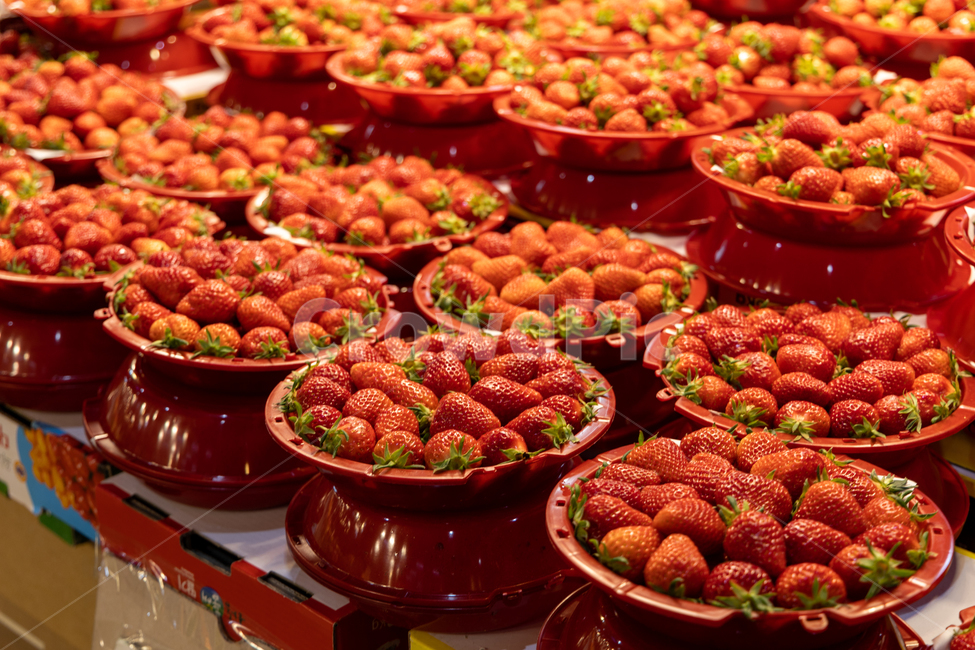 food,과일,strawberry,딸기,fruit,식물,plant,시장,과일시장,음식,식재료,요리,food,cook,meal,dishes,food reserves,과일,열매,fruit