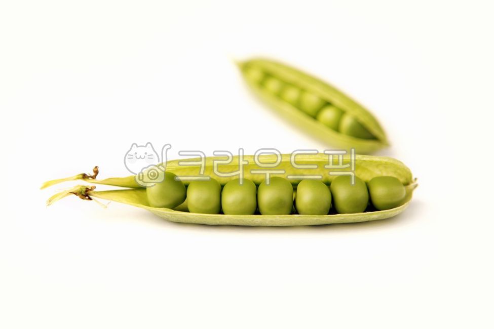 green,ingredient,kidney bean,bean leaves,health,Clean,vegetable,pea,bean stalk,food,nutrition,dessert,plant,bean pod,animated,Agriculture,fresh,bean,organic