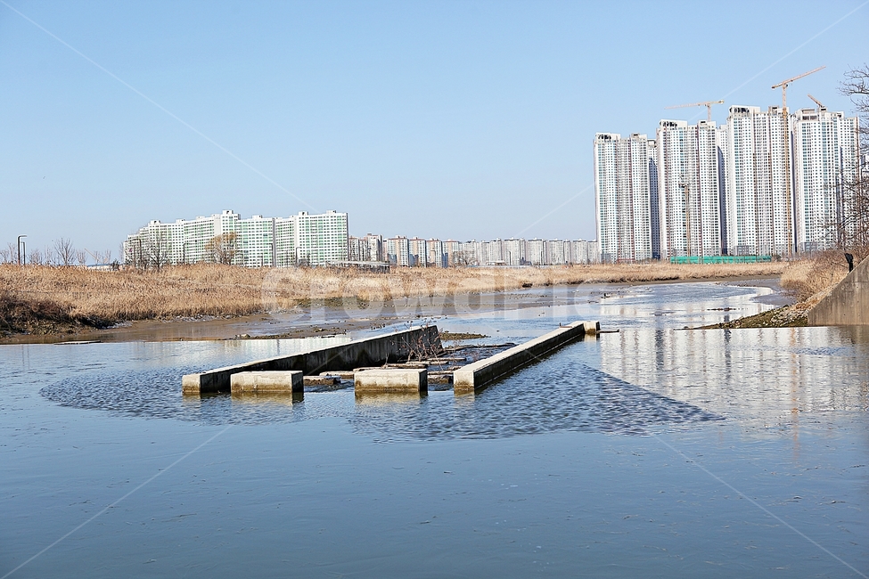 보,수로,물길,물고기길,강물,생태계,자연,풍경,겨울