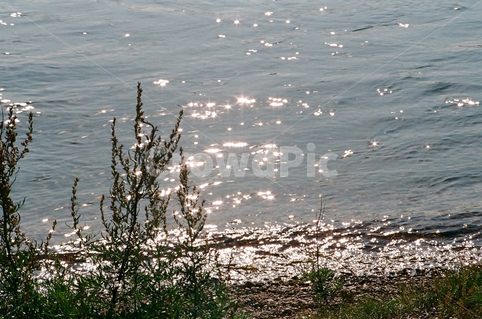 물,water,자연,nature,윤슬,필름카메라,film