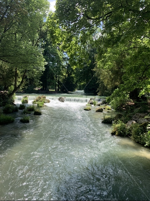 water,물,nature,자연,park