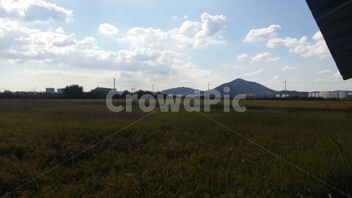 가을하늘,흰구름,논풍경,구름,논,자연,풍경,nature,landscape,outdoors,옥외,weather,날씨,land,땅