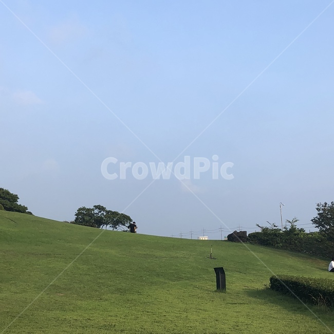 grass,잔디,식물,plant,들