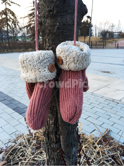 장갑,벙어리,나무,분홍,동심,겨울,공원,양털