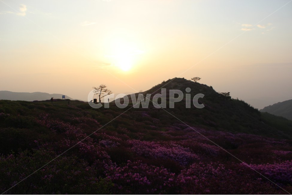 경치,자연,풍경,하늘,나무,봄,계절,spring,season,자연,풍경,nature,landscape,한국자연풍경,한국자연경관,korea nature landscape,outdoors,옥외