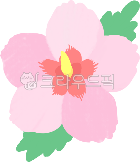 무궁화,꽃,대한민국,국화,분홍,핑크,부드러운,아기자기한