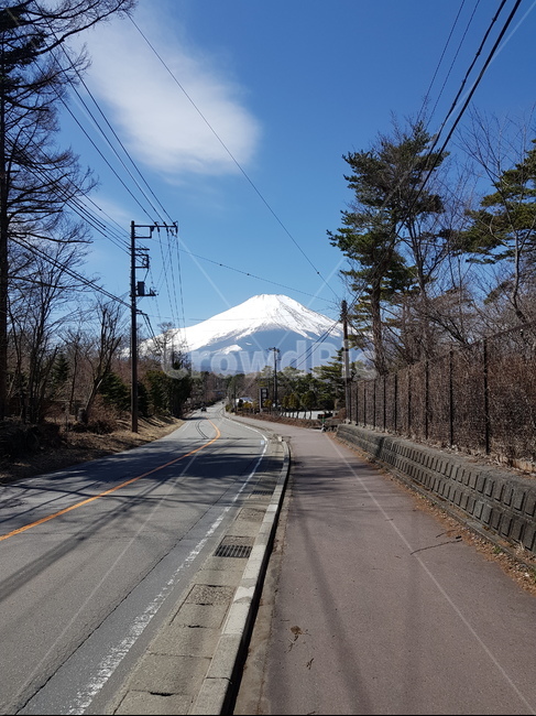 후지산,눈덮힌후지산,겨울후지산,맑은후지산,일본후지산,맑은하늘,파란하늘,산,구름,눈,겨울산,나무,도로,가로수