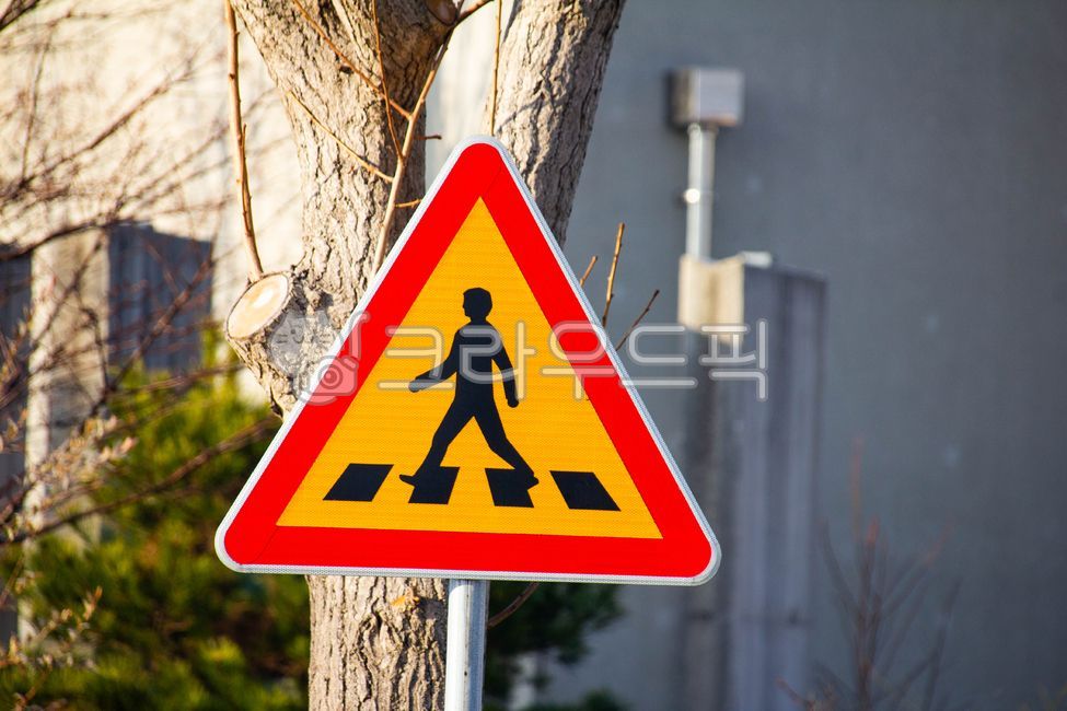 roadsign,도로표지판,횡단보도,보행자,옥외,outdoors