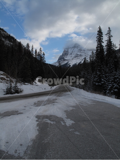 설산,눈,나무,캐나다,로키산맥,rockymountains,길,요호국립공원,yohonatioinalpark,겨울,잔디,canada