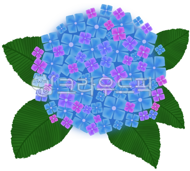 수국축제,수국꽃,여름,여름꽃,수국,여름축제,꽃축제,summer,flower,summerflower,summerfestival,hydrangea,bigleafhydrangea,꽃,꽃그림,여름그림,여름풍경,여름꽃밭,파스텔꽃