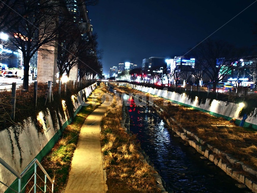 대구,범어천,물,냇가,내천,공원,자연,풍경,nature,landscape,야경,밤,nightscape,night,water,bridge,다리,building,건물,path,통로