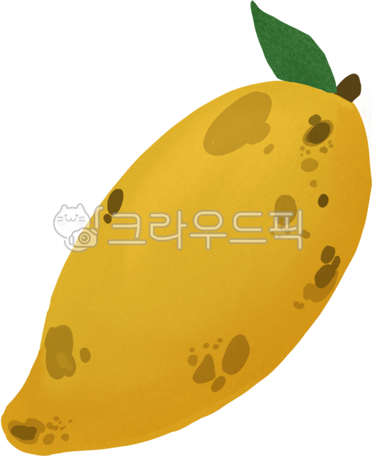 Mango,tropical fruit,ripening,fruit,yellow,yellow mango,spoiled,ripe fruit,sweet,ripening,picture,illustration