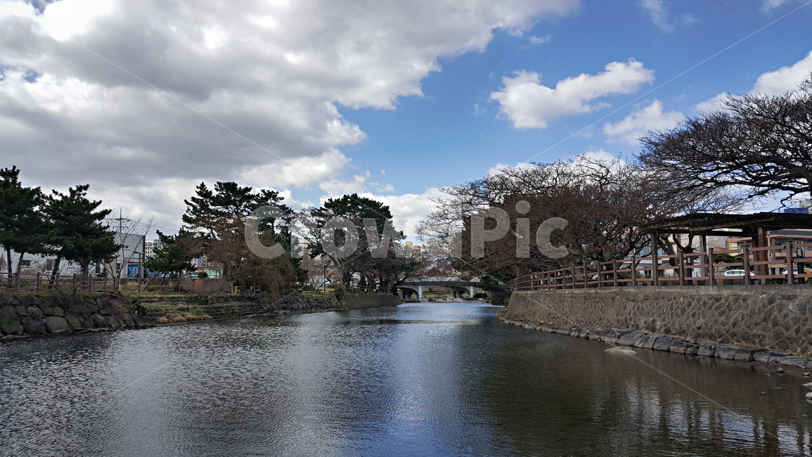 월대,자연,옥외,nature,outdoors,물,water