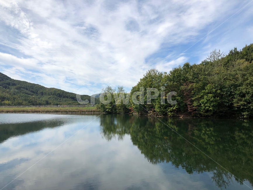 호수,나무,숲,하늘,풀,자연,풍경,nature,landscape,water,물,outdoors,옥외