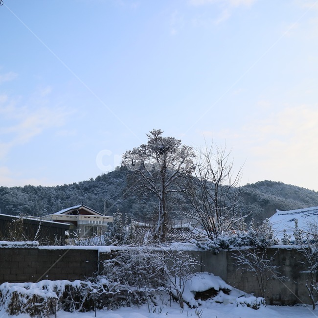 outdoors,옥외,자연,nature,친구,구름,낮