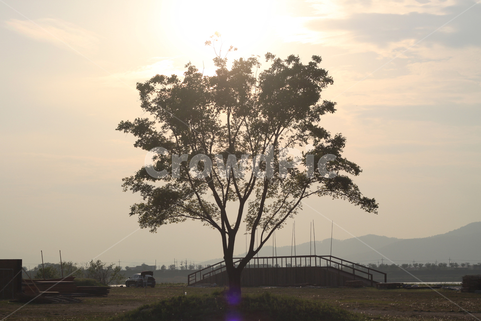 노을,색감,여행,감성,하늘,나무,들녘,자연,풍경,nature,landscape,식물,plants,나무,trees,wood,tree,plant,tree trunk,나무 줄기