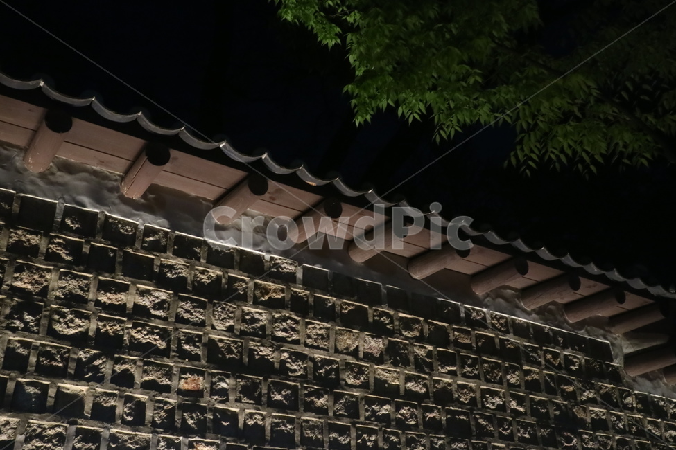 돌담길,밤,어둠,빛,야경,나무,그림자,기와,한옥,shadow,night