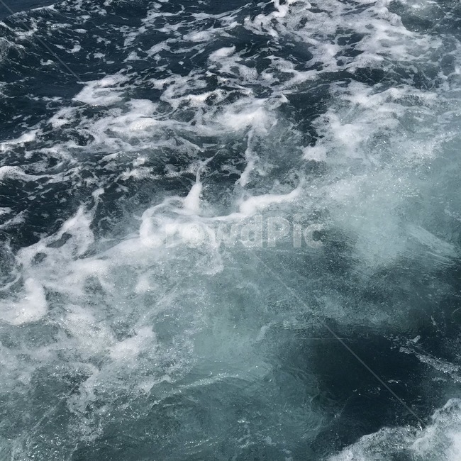 파도,바다,물결,거품,sea,wave