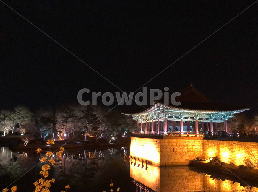 경주,동궁과월지,야경,꽃,밤,야경,밤,풍경,nightscape,night,landscape,한국전통,한국문화,korean traditional,korean culture,랜드마크,landmark,tourist attraction,한국랜드마크,한국관광지,한국명소,korea landmark,korea tourist attraction,건축물,건물외관,exterior,building,structure,architecture,construction,건물