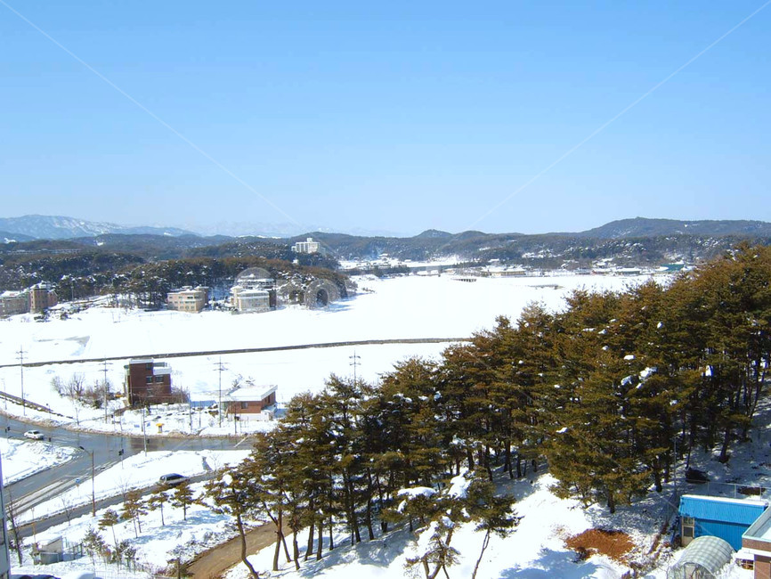 nature,자연,outdoors,옥외,plant,식물,tree,나무,눈,snow,하늘,푸른하늘,sky,blue,언덕,hill,길,도로,road,산,겨울,winter,mountain,설경,풍경,landscape,배경,Background,숲,Forest,겨울,계절,winter,season