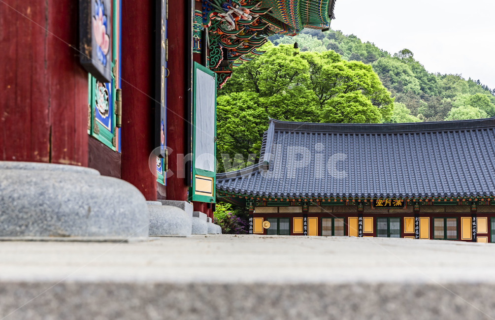 영원사,사찰,고찰,불교,주춧돌,기와,지붕,고건축,전통건축,한국전통,한국문화,korean traditional,korean culture,건축물,건물외관,exterior,building,structure,architecture,construction