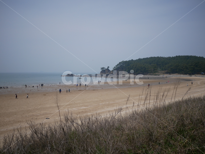 바다,해변,갯벌,foreshore,sea,beach,해변,바다,beach,sea