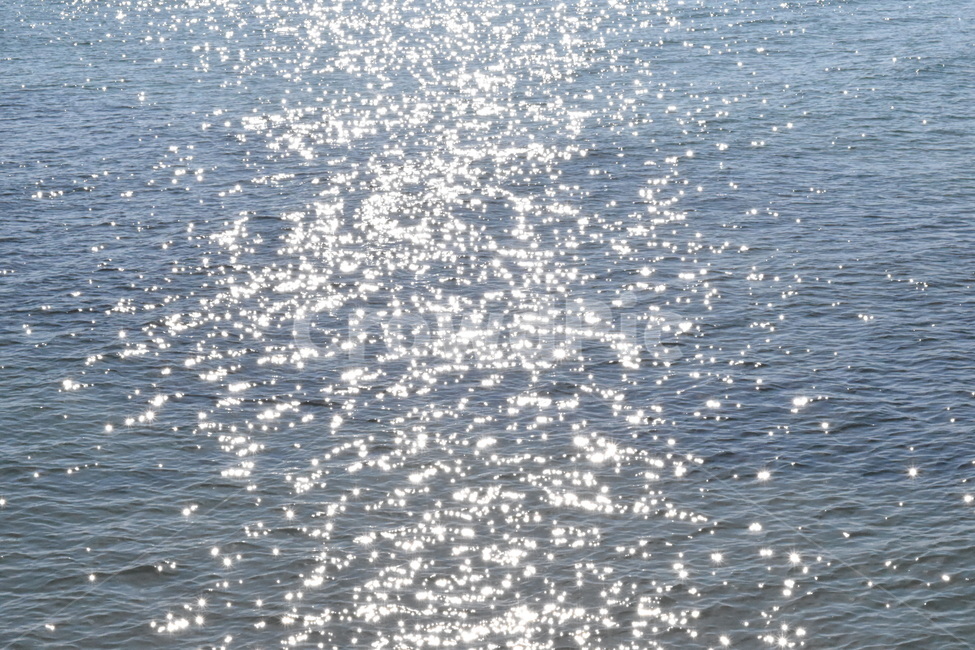 수면,바다,물,빛,윤슬,햇빛,sea,sulface,water,light,자연,풍경,nature,landscape,ocean,대양,outdoors,옥외