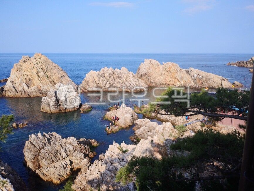삼척,장호항,바닷가,바다,풍경,강원도,자연,풍경,nature,landscape