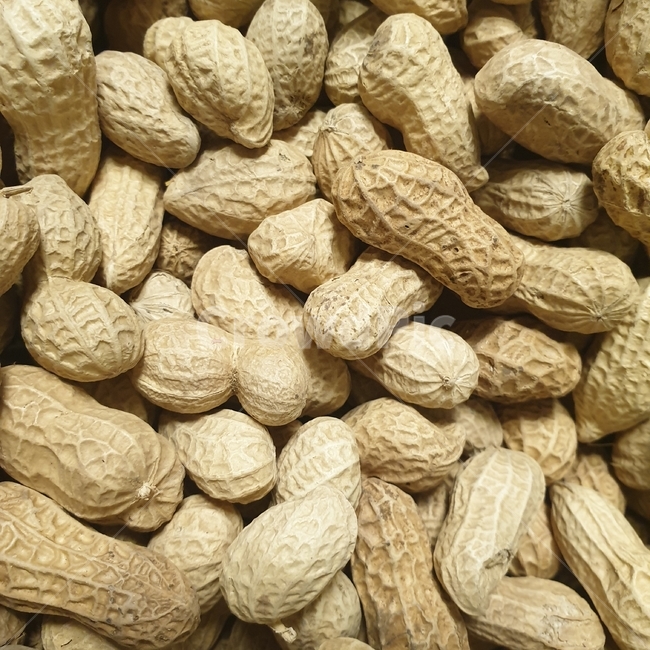 음식,땅콩,근접,콩,갈색,음식,식재료,요리,food,cook,meal,dishes,food reserves,콩류,견과류,beans,pulse,nuts,dry fruits