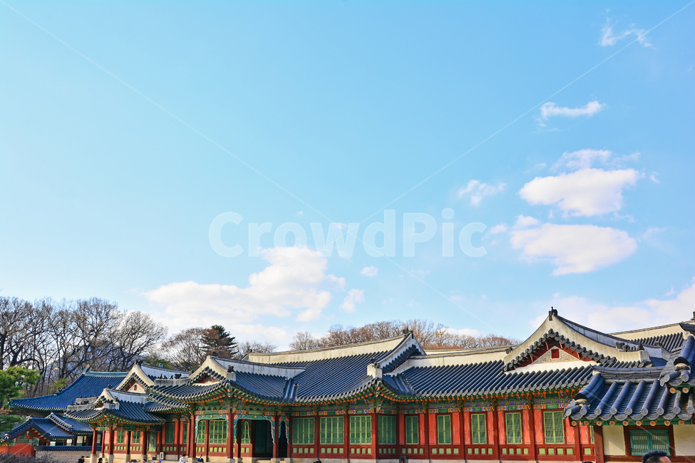 한국전통,고궁,궁궐,창덕궁,전통,배경,바탕,백그라운드,korean,traditional,ancientpalace,spring,시즌,계절,조선시대,건축물,서울,기와집,하우스,집,한국적,코리안,나무,하늘,구름,한국전통,한국문화,korean traditional,korean culture,랜드마크,landmark,tourist attraction,한국랜드마크,한국관광지,한국명소,korea landmark,korea tourist attraction,건축물,건물외관,exterior,building,structure,architecture,construction