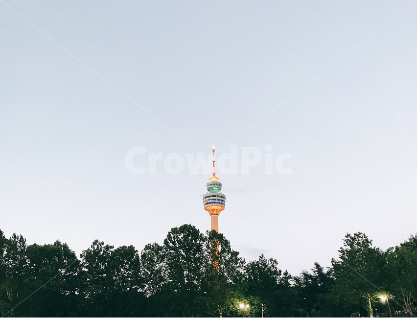대구,83타워,전망대,조명,타워,나무,랜드마크,landmark,tourist attraction,한국랜드마크,한국관광지,한국명소,korea landmark,korea tourist attraction