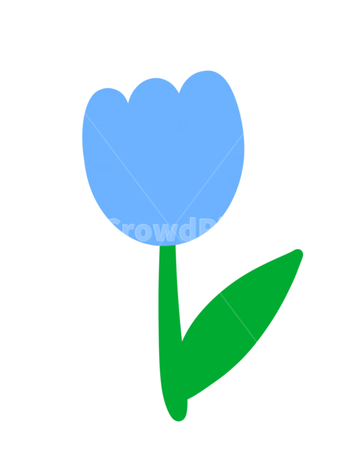 튤립일러스트,튤립,튤립그림,튤립손그림,tulip,tulipillust,tulipillustration,누끼,remove background