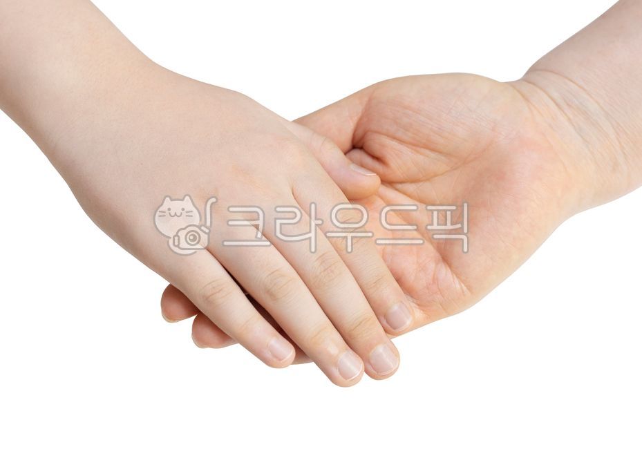 악수,아동손,아이손,아이,손자,노인,요양원,요양,고령화,노인손,성인,나이,간호,할머니,도움,연상,들다,가족,보호,조부모,세대,존경,공유,감동,도와,주의,고령,시니어,하얀배경,흰,휴먼,손누끼,붙들기,공백,배려,우정,사랑,여성,손가락,나이든,가정,인사,교감,hand,손
