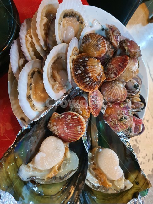 food,해산물,수산물,한국음식,음식,요리,dishes,cook,겨울음식,조개구이,해물,조개,구이,fisheryproducts,seafood,식재료,음식,식재료,요리,food,cook,meal,dishes,food reserves,수산물,해산물,fishery products,seafood