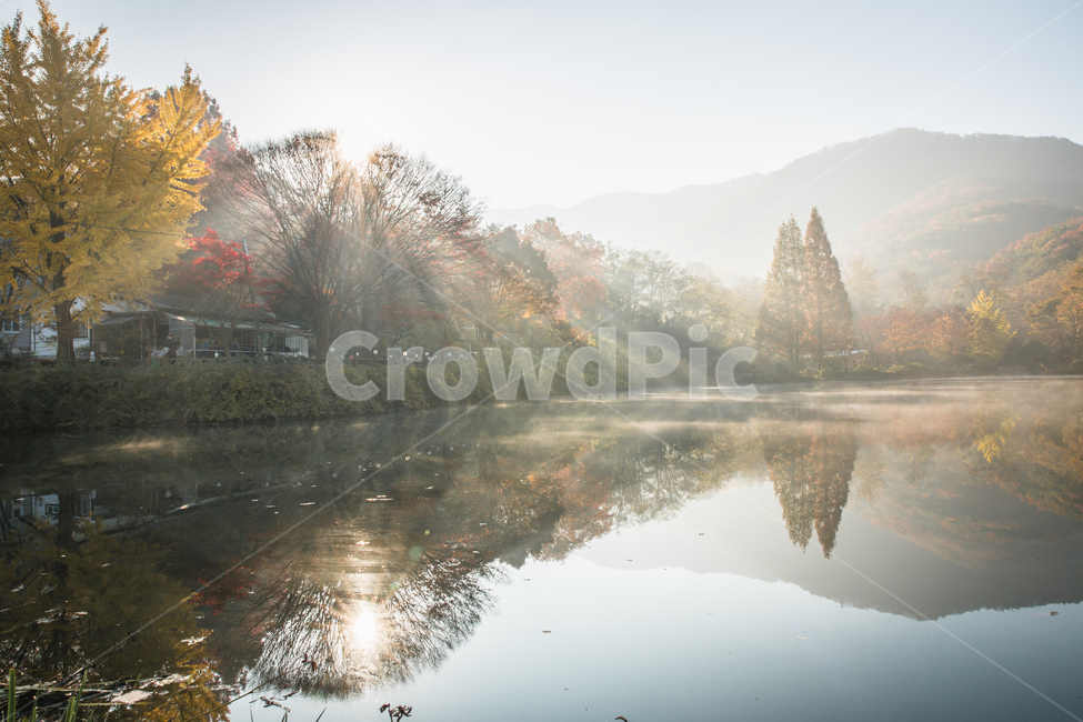빛내림,가을,단풍,낙엽,일출,햇살,가을,계절,fall,autumn,season,자연,풍경,nature,landscape,한국자연풍경,한국자연경관,korea nature landscape,weather,날씨,outdoors,옥외