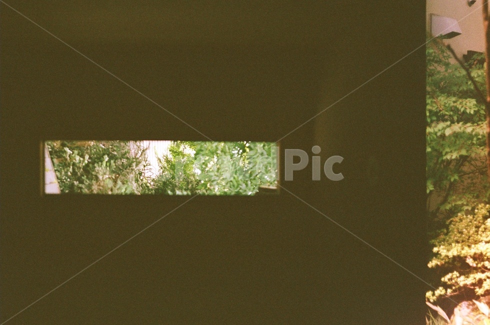 창틀,homedecor,필름사진,가정장식,window,창문,architecture,건축물,building,건물