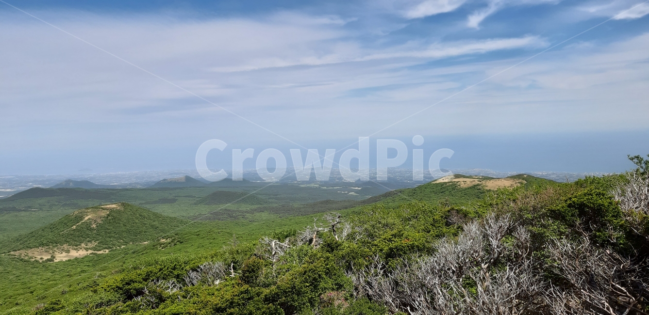 제주도,한라산,영실코스,오름군락,고사목,구상나무